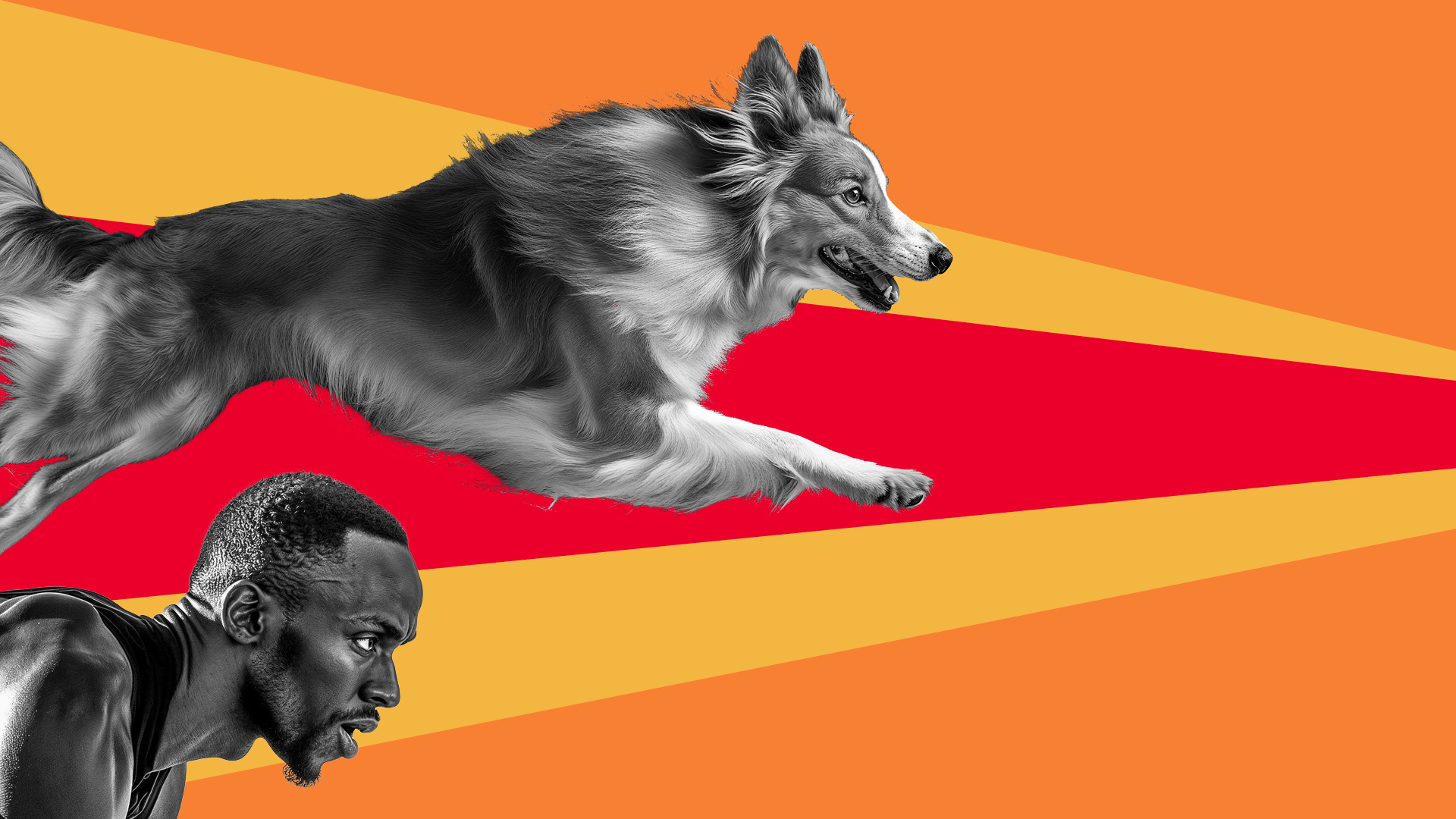 Is agility just for Lassie and Usain Bolt?