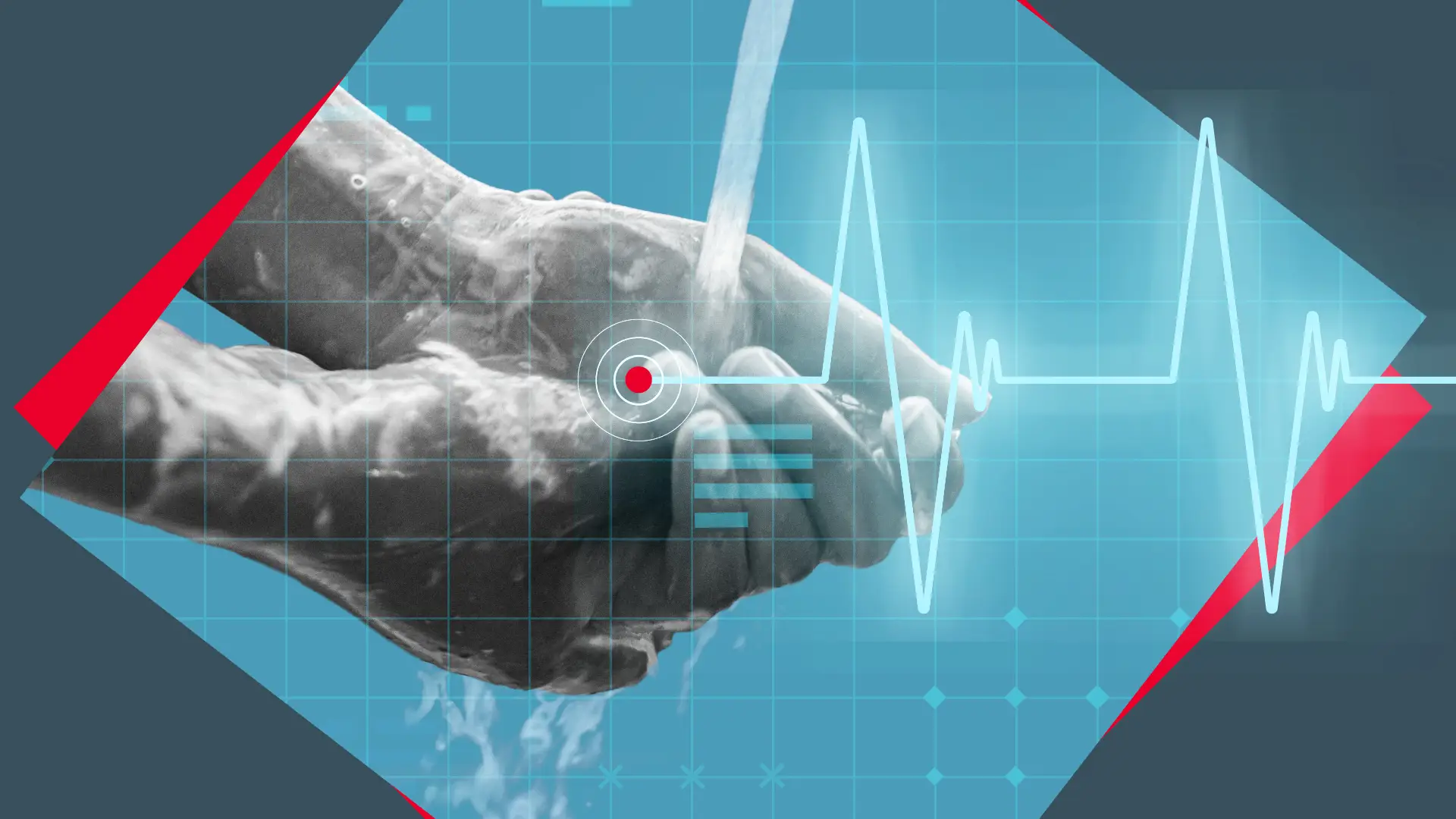 Top 5 Health and Hygiene Sector Trends - Katy Dillon