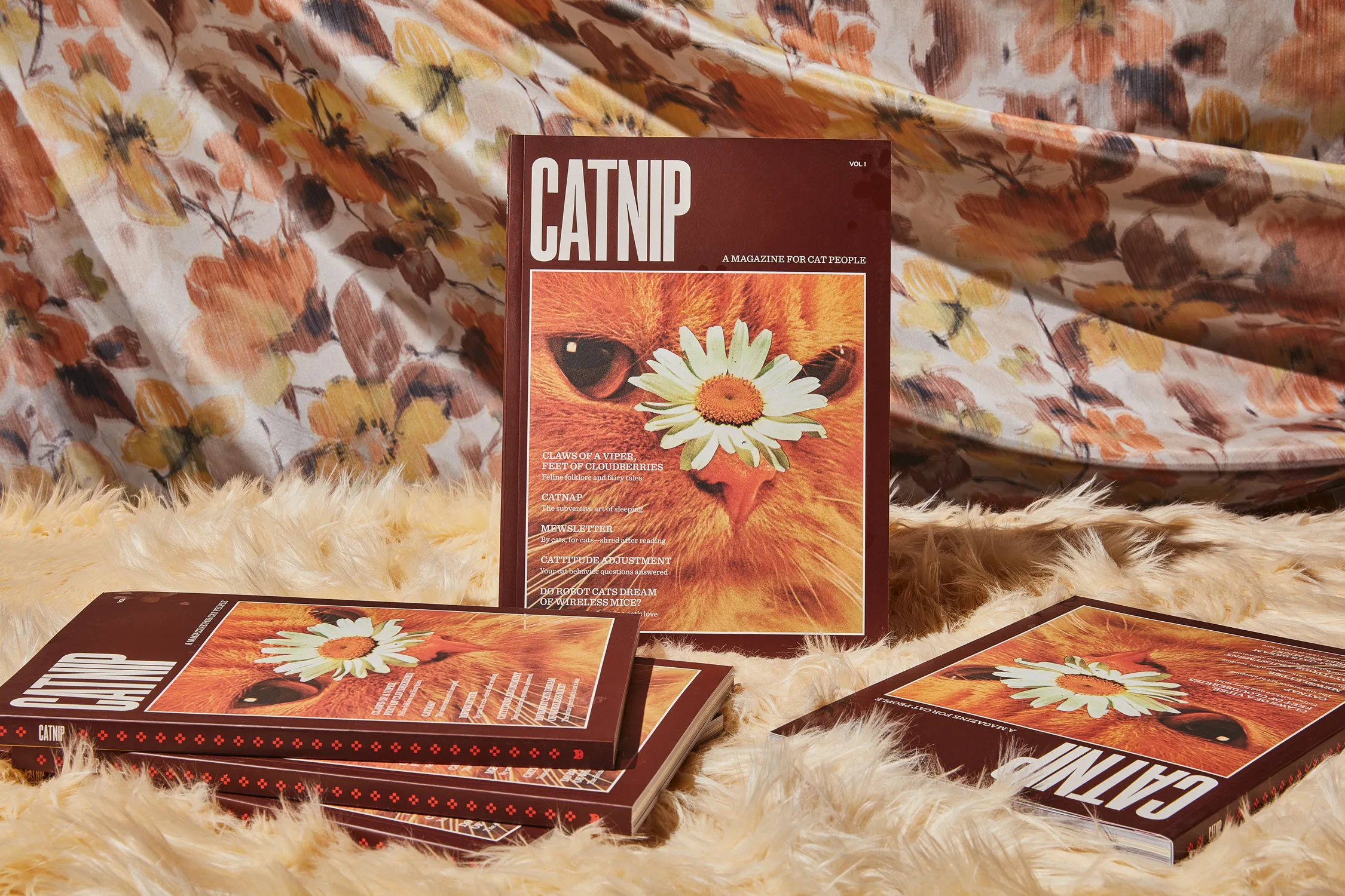 Catnip magazine