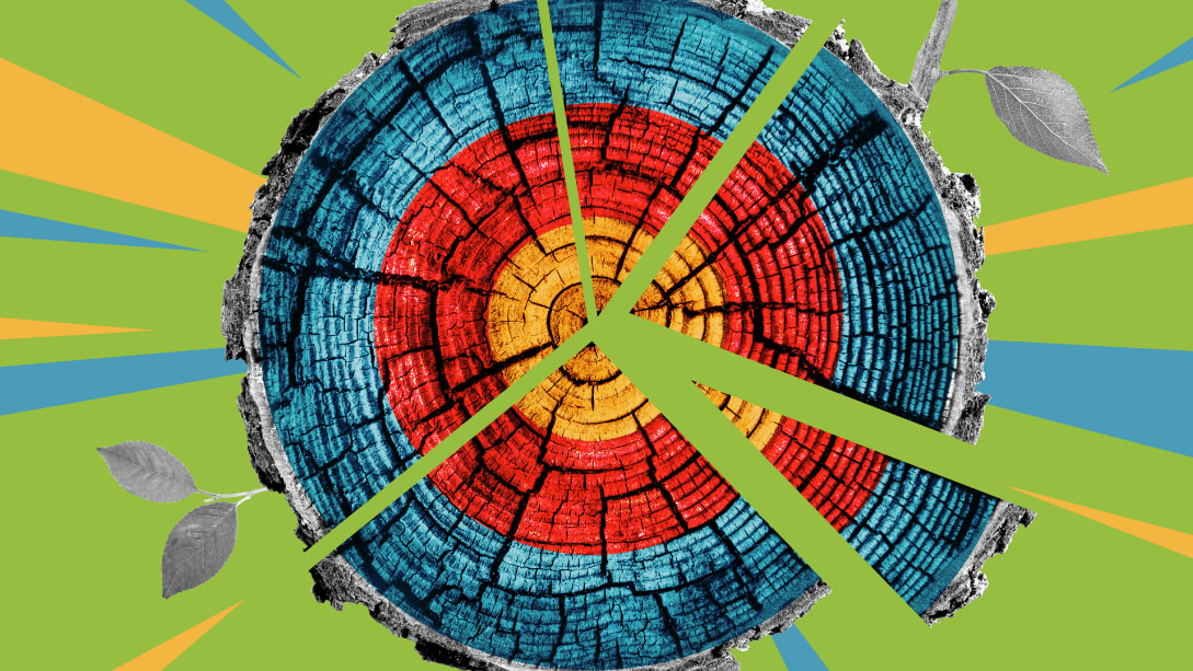 Turning Sustainability into Real Business Value